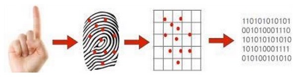 Fingerprint Recognition System